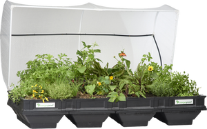 Large Raised Garden Bed with VegeCover  2m x 1m
