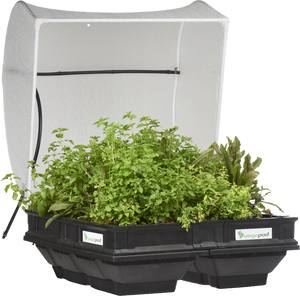 Medium Raised Garden Bed with VegeCover  1m x 1m