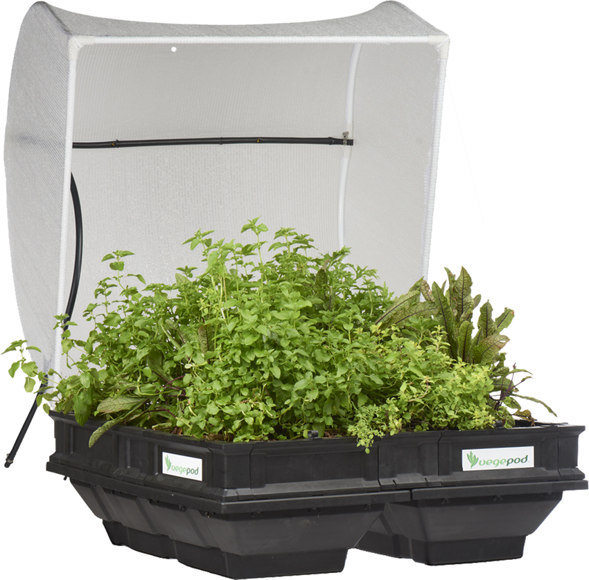 Medium Raised Garden Bed with VegeCover  1m x 1m