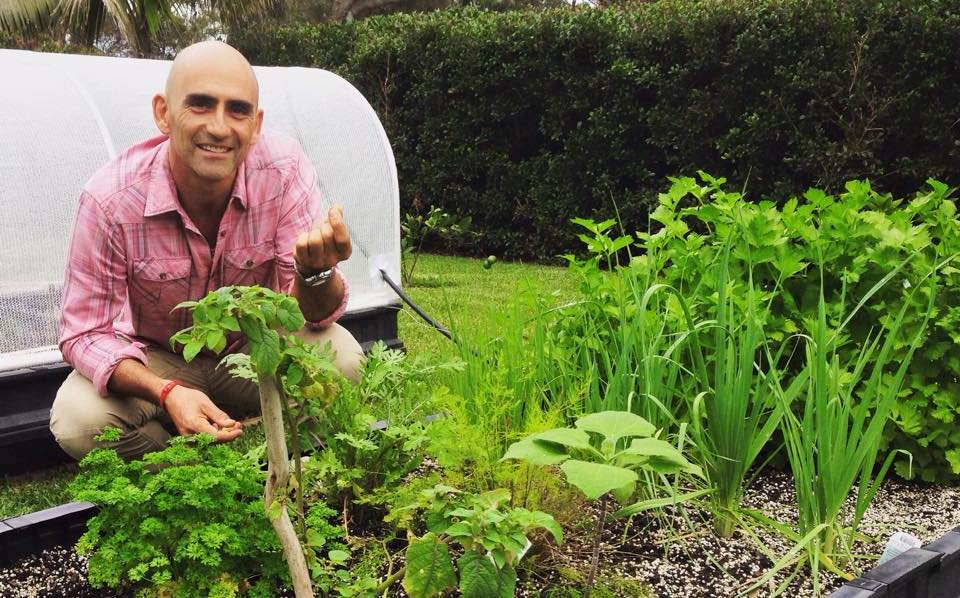 What to Plant In Early Spring