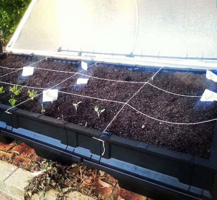 How To Build A ‘Square Foot Garden’ In The Vegepod
