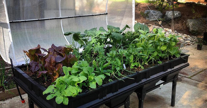 What is the Right Sized Raised Garden Bed For You?