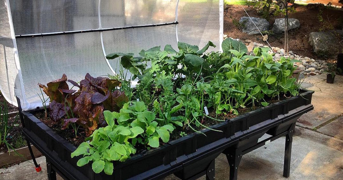 What is the Right Sized Raised Garden Bed For You?