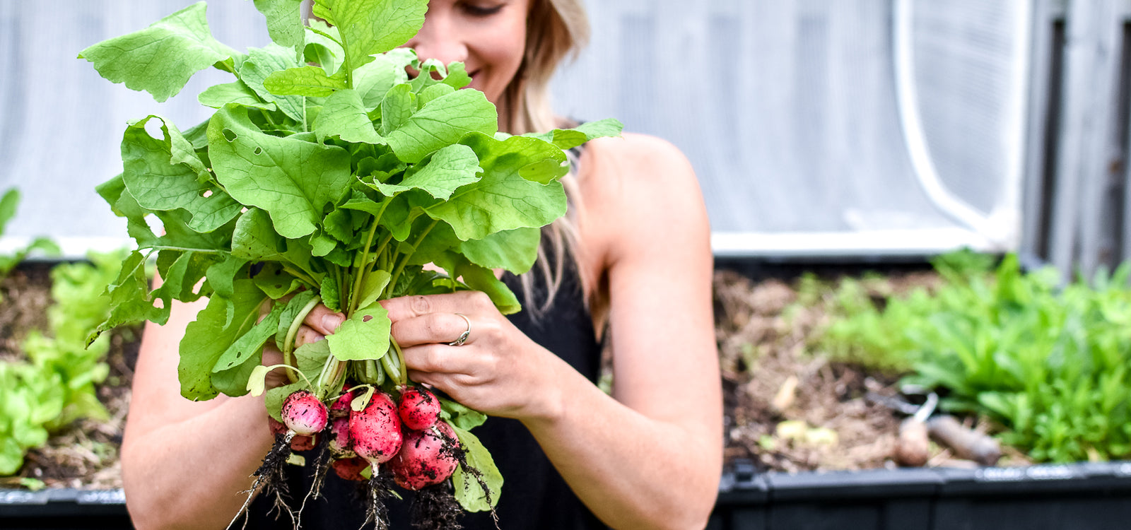 Pod To Plate: Georgia Barnes' Garlic-Roasted Radishes