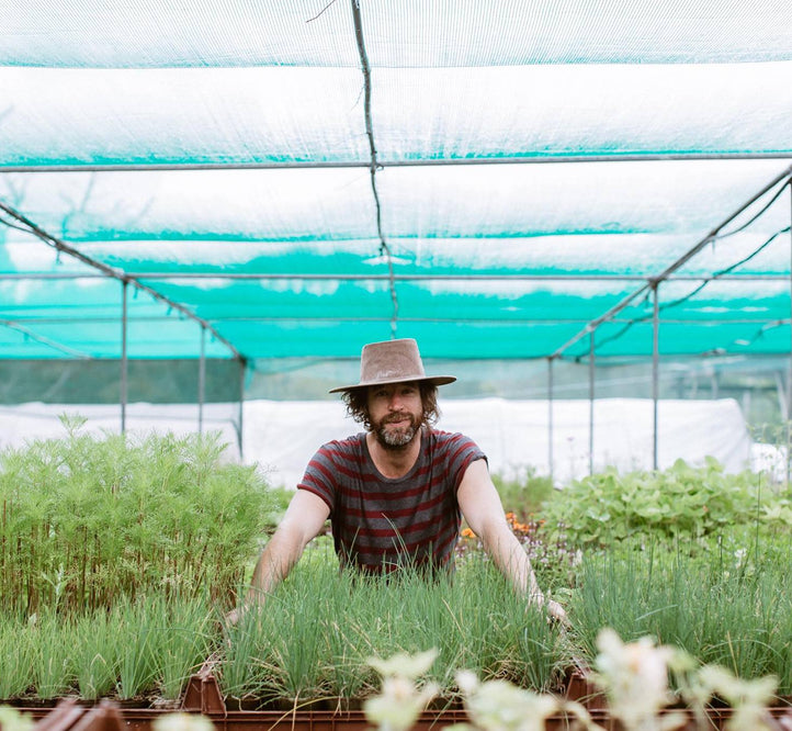 Guest Blog: How To Germinate & Transplant Seedlings by Jordan Sly