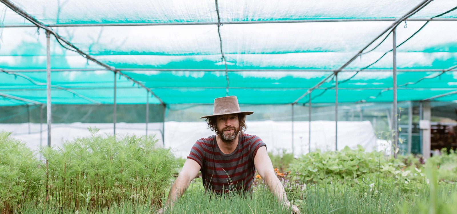 Guest Blog: How To Germinate & Transplant Seedlings by Jordan Sly