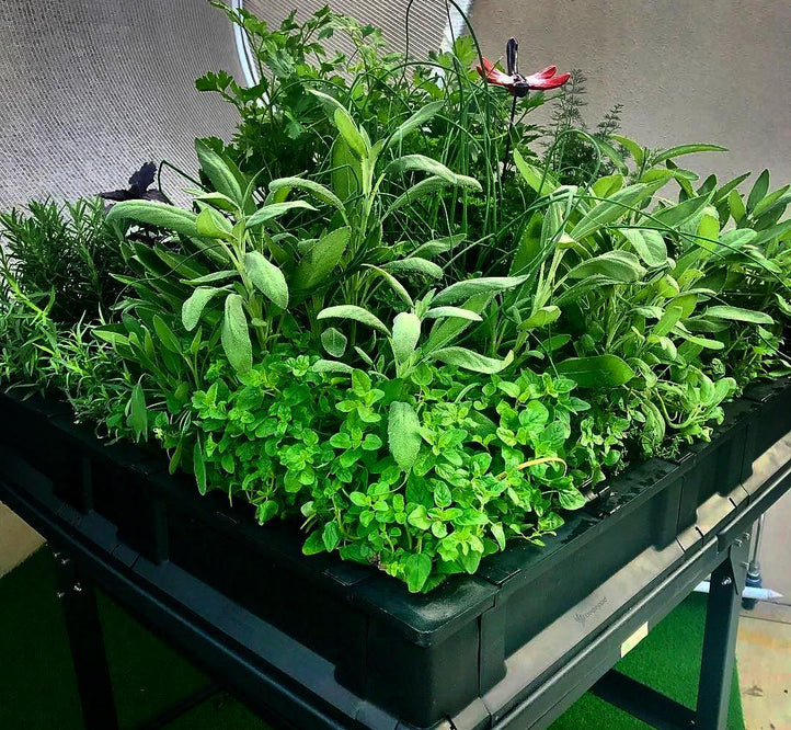 2017: Vegepod in Review