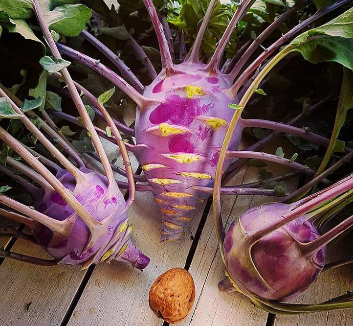 Wrap Up: The Best Vegepod Harvests Of 2018