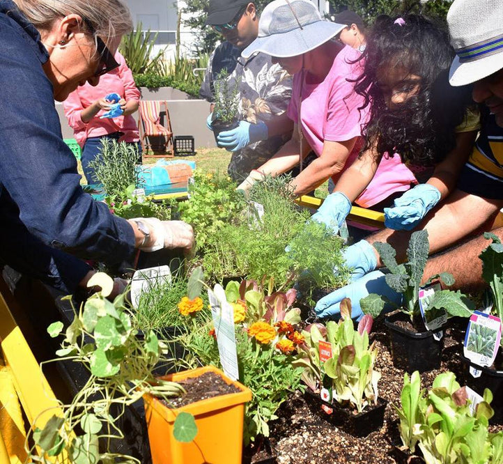 Our House: Celebrating ‘HomeGrown’ A Gardening Program for Community Housing Residents