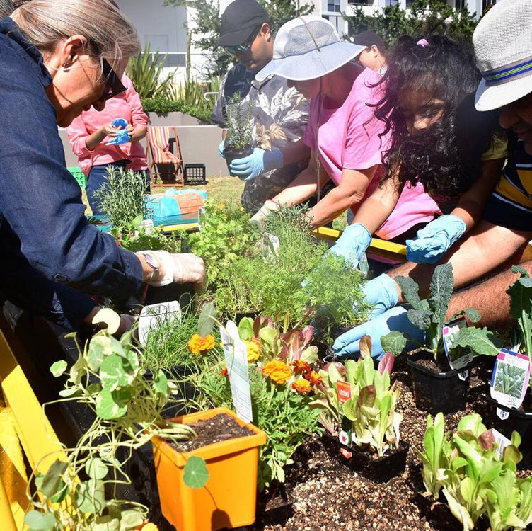 Our House: Celebrating ‘HomeGrown’ A Gardening Program for Community Housing Residents