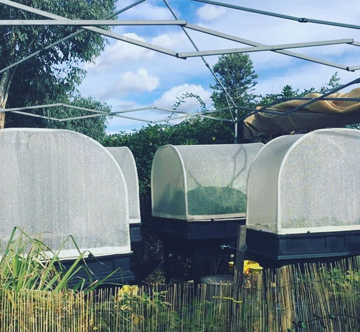 All About Our Vegepod Raised Garden Kit Cover