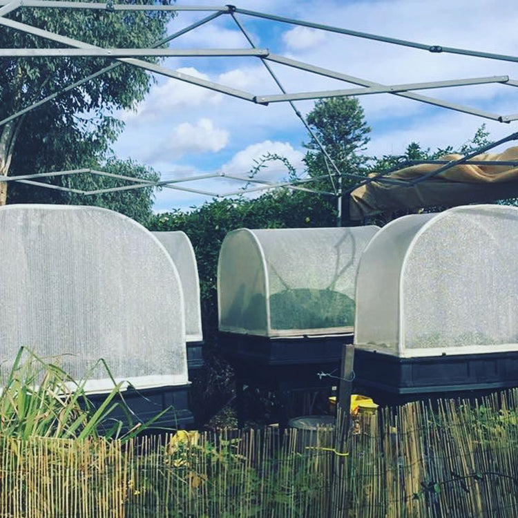 All About Our Vegepod Raised Garden Kit Cover
