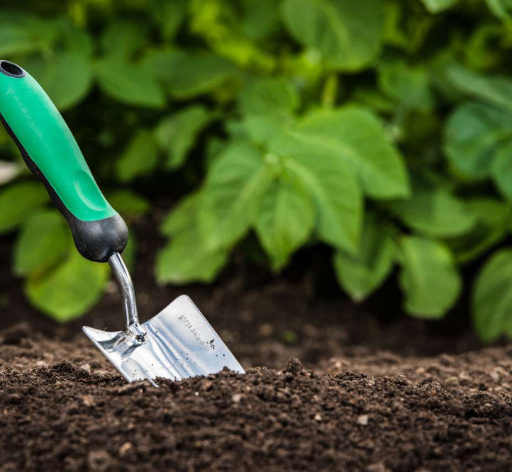 shovel in soil