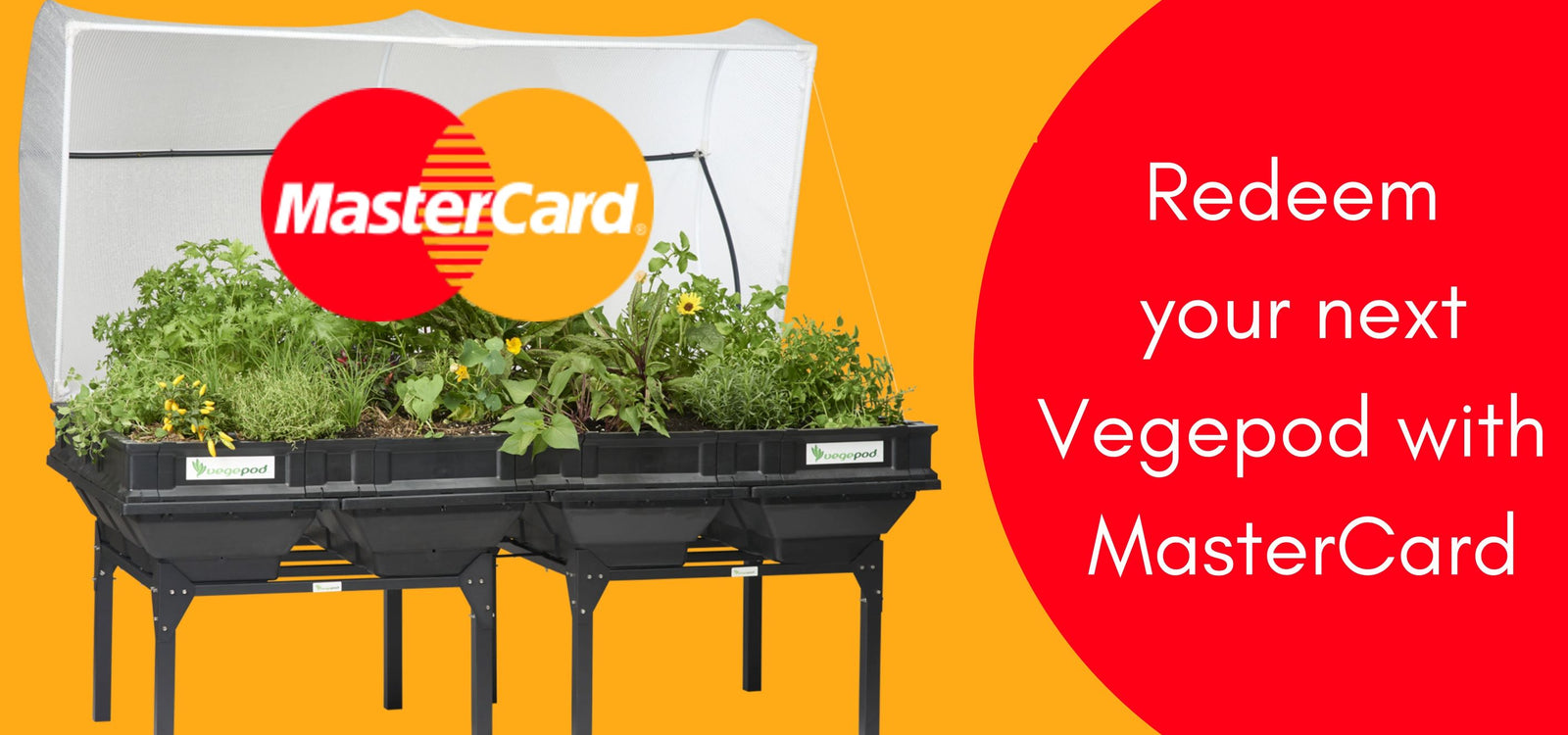 You could redeem your next Vegepod with Mastercard!