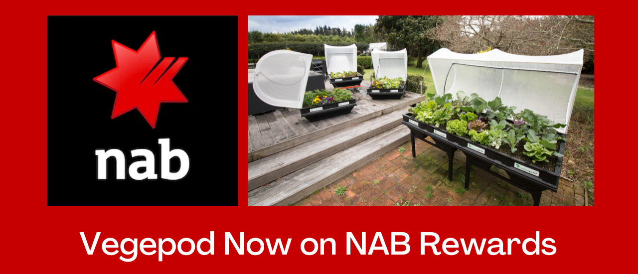 Vegepod on NAB Loyalty Programs!