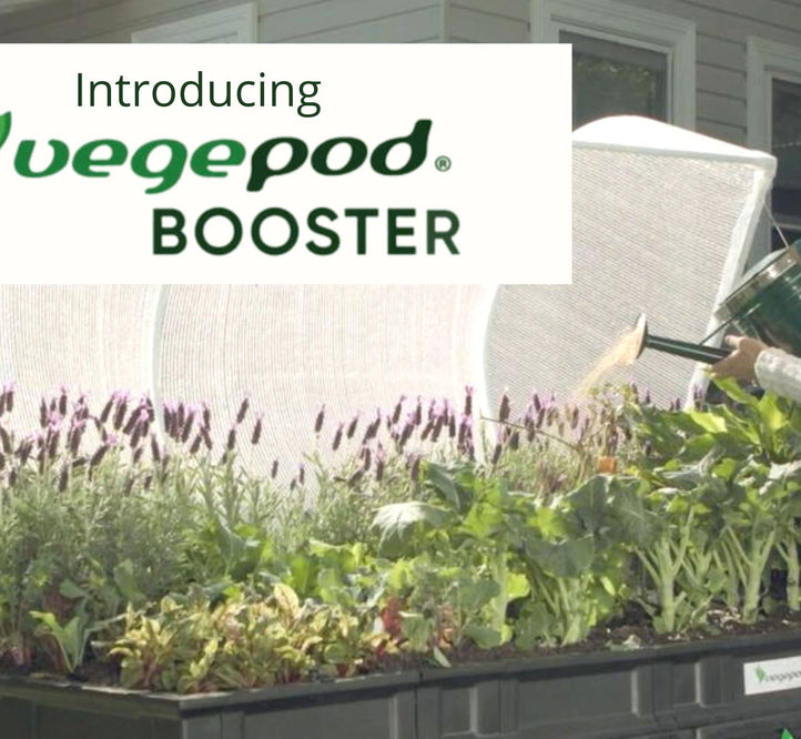 Vegepod's New Product!