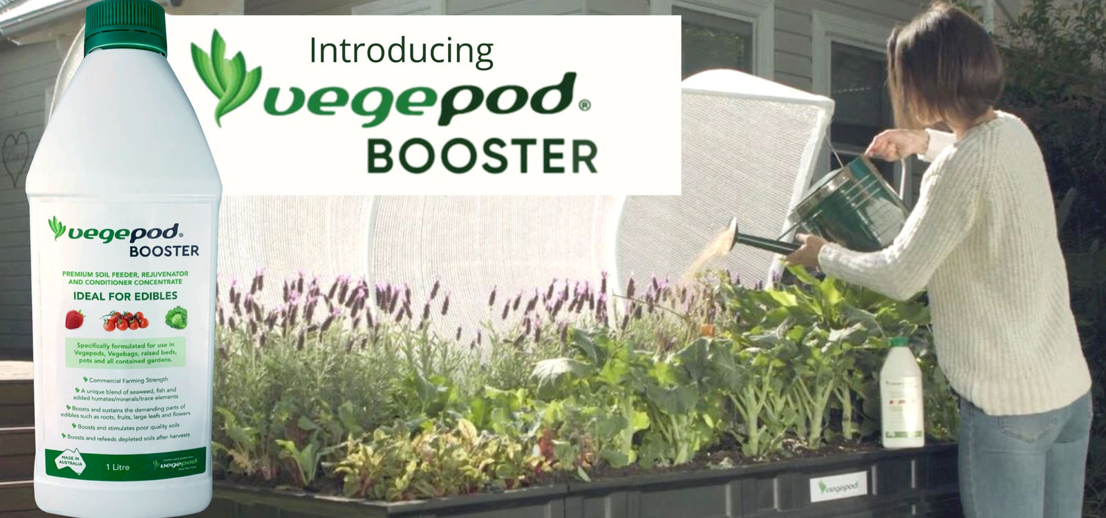 Vegepod's New Product!