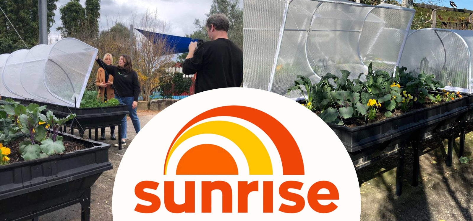 Vegepod on Channel 7 Sunrise!