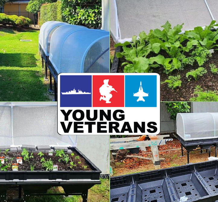 What's growing on at Young Veterans....