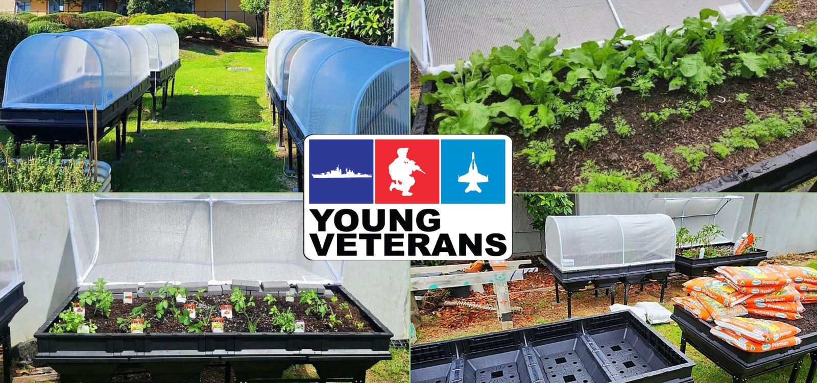 What's growing on at Young Veterans....