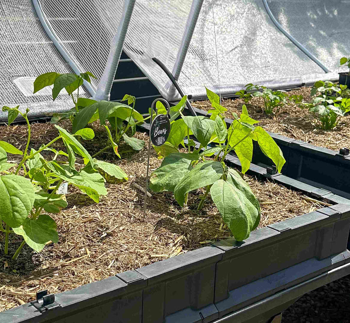 Preparing the Vegepod for Spring!