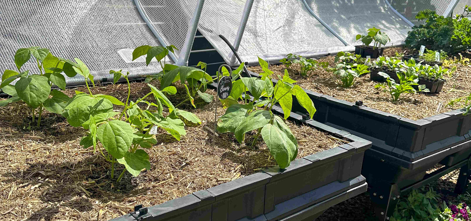 Preparing the Vegepod for Spring!