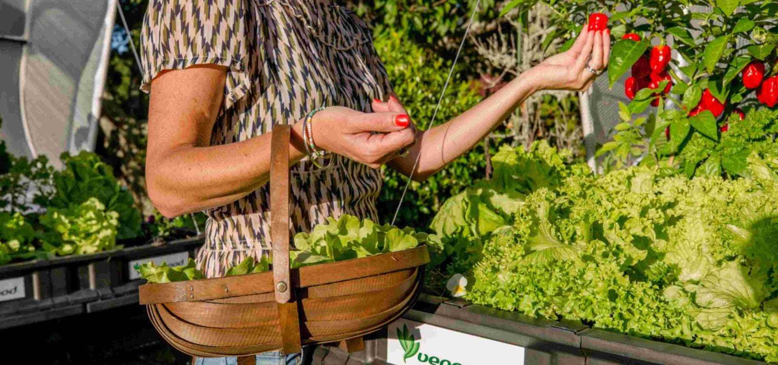 Happy National Gardening Week!