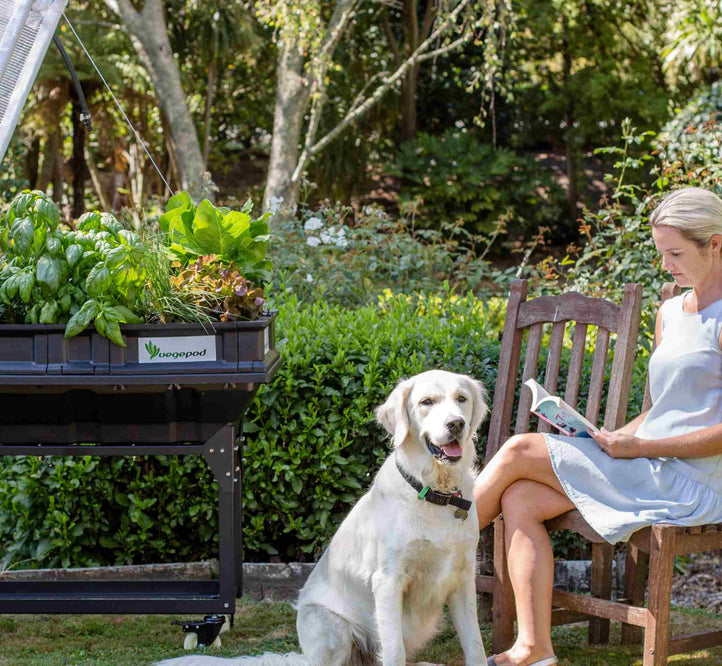 World Mental Health Week Q&A with Therapeutic Horticulturalist Cath Manuel!