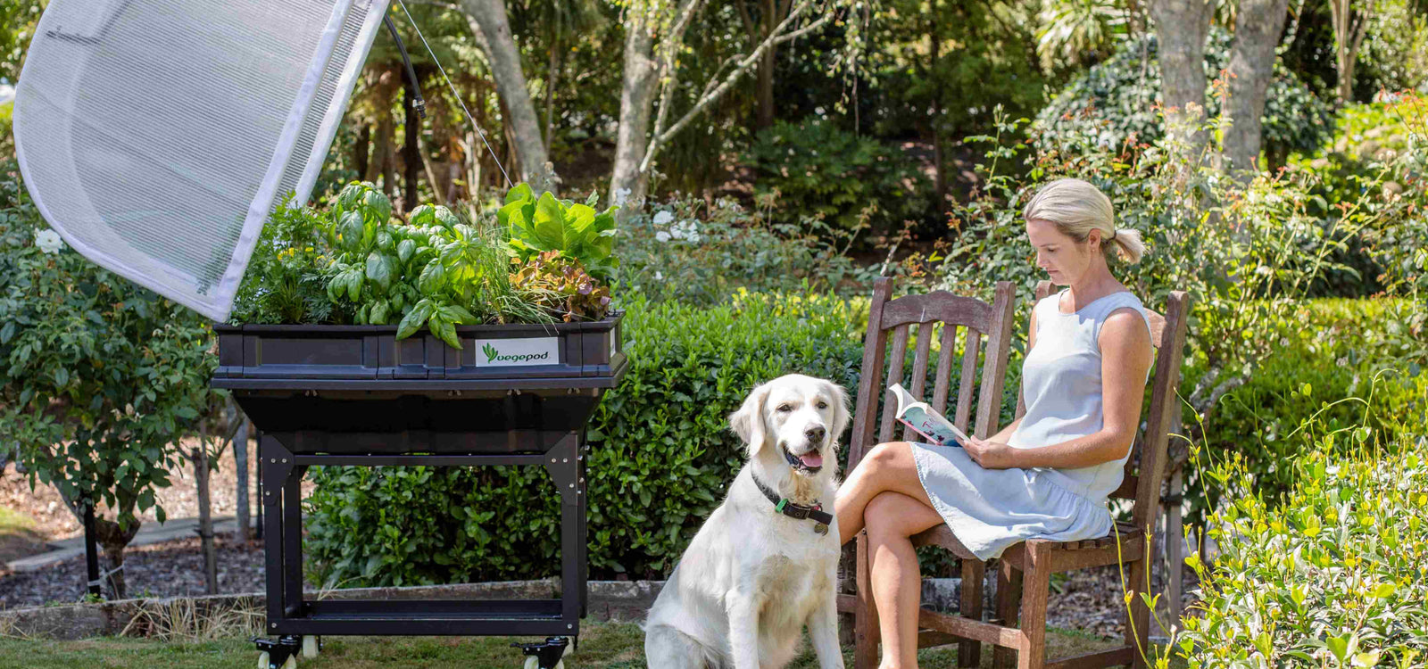World Mental Health Week Q&A with Therapeutic Horticulturalist Cath Manuel!