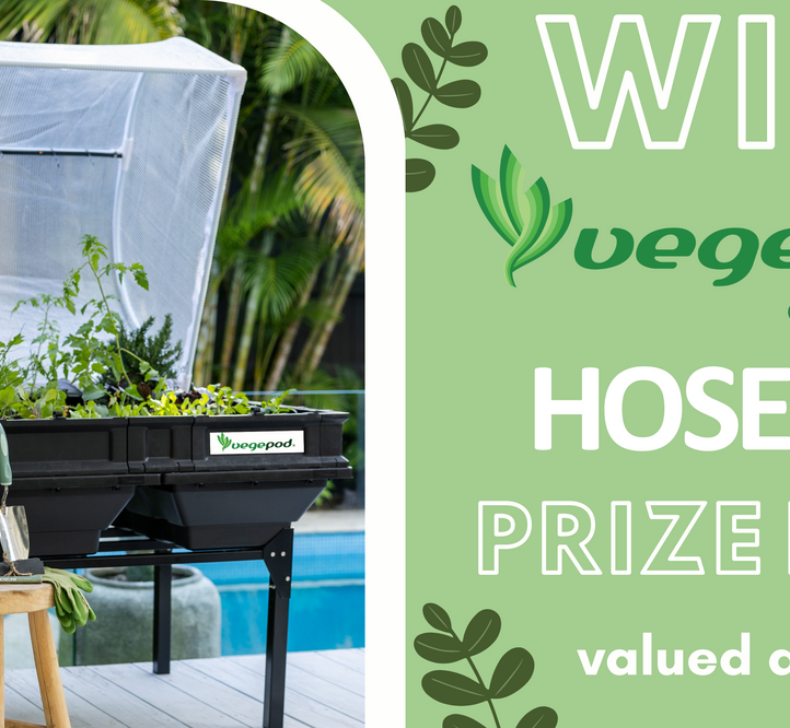 Win the ultimate Vegepod x Hoselink veggie growing kit!