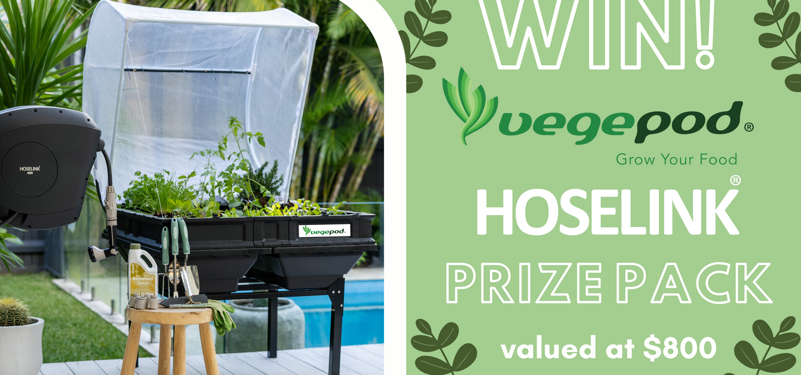 Win the ultimate Vegepod x Hoselink veggie growing kit!