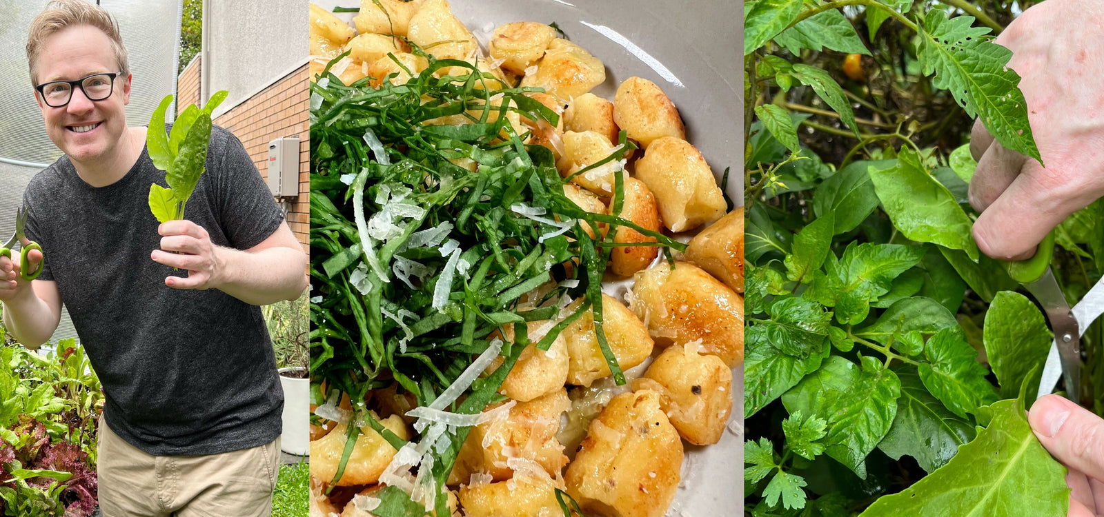 Pod-To-Plate with Scott Bagnell, Top 9 Masterchef 2021!