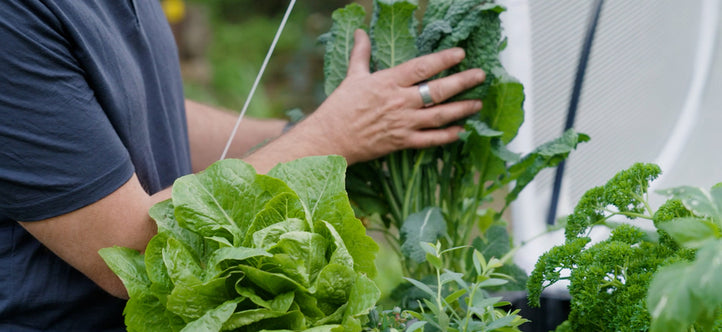Discover the Vegepod Advantage: Tips from The Garden Gurus