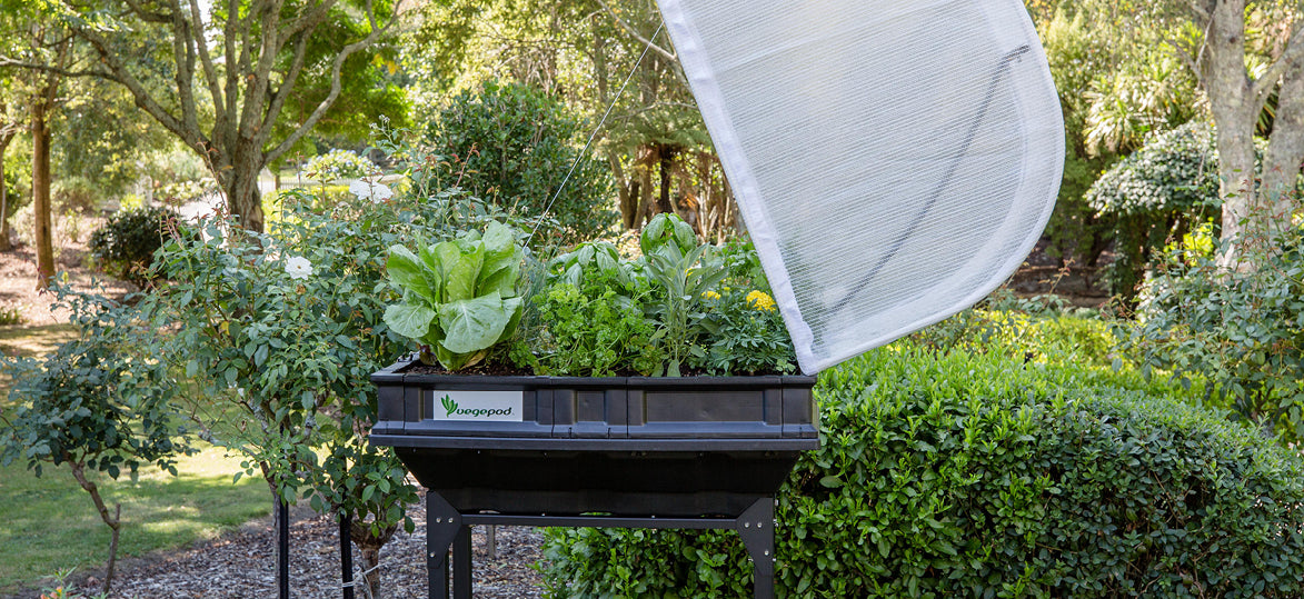 Growing Veggies for One or Two People with a Small Vegepod