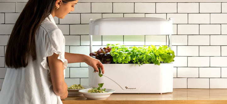 How Indoor Gardening with Vegepod Reduces Your Carbon Footprint
