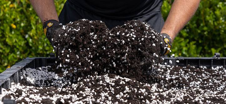 Embrace Autumn with Vegepod: Tips, Tricks, and a Magic Broccoli Recipe!