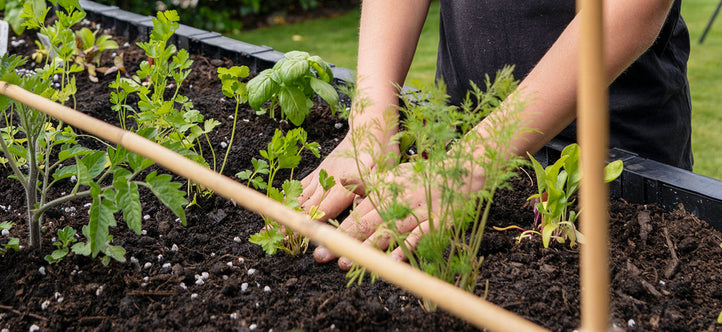 Celebrate Earth Day: Sustainable Gardening Tips for a Greener Future