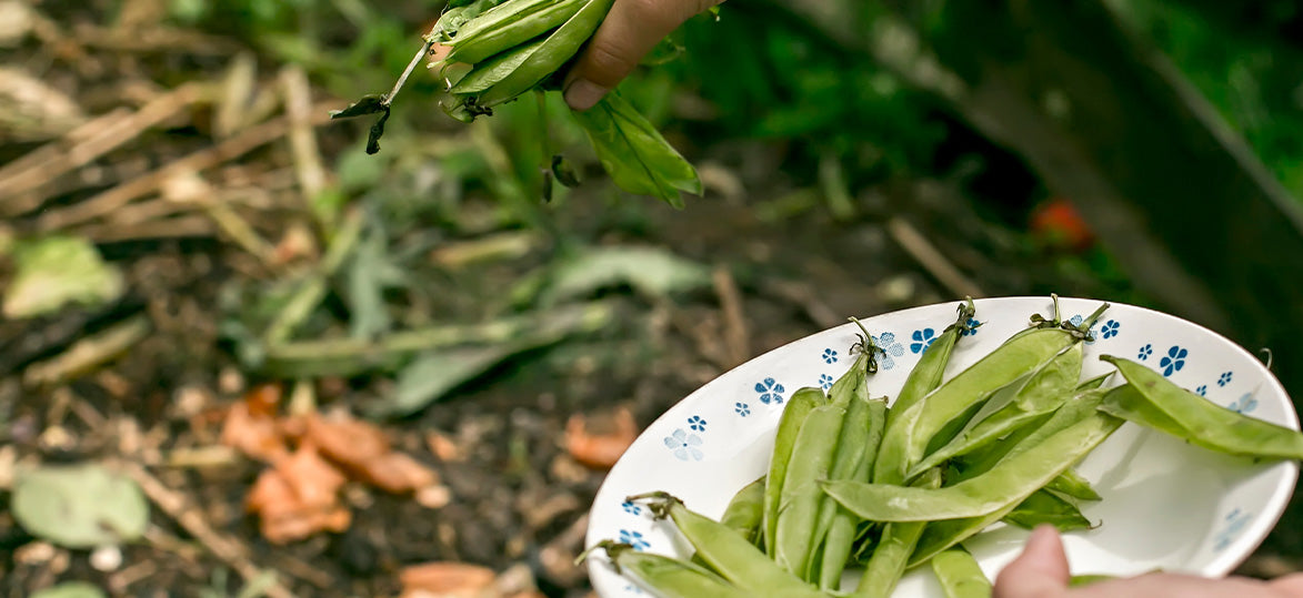 Get Growing Green: Celebrate Global Recycling Day with Vegepod!