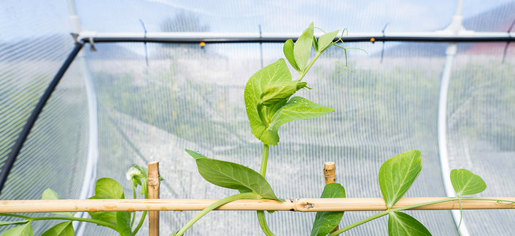 Get Ready to Winterise Your Garden with Vegepod