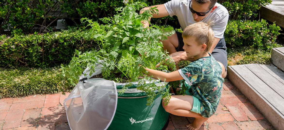 Winter Wonderland: Growing Veggies as the Weather Gets Chilly with a Vegebag