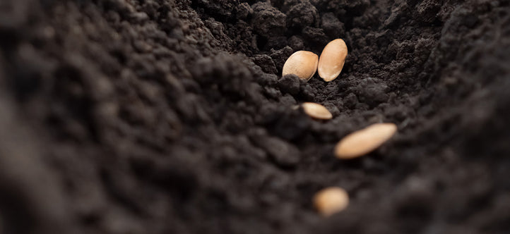 Our guide to Sowing Seeds in your Vegepod