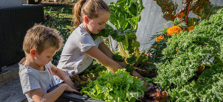 Kids and Gardening: Fun and Educational Projects with Vegepod