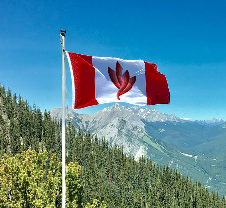 Vegepod Expands Internationally! (Locations in Canada, Ireland, Scotland and Mauritius)
