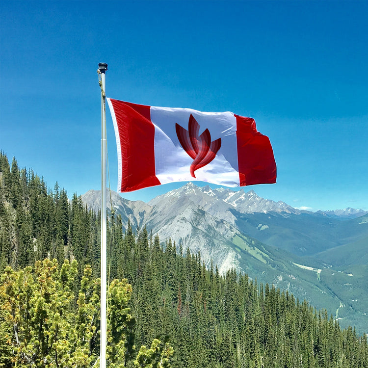 Vegepod Expands Internationally! (Locations in Canada, Ireland, Scotland and Mauritius)