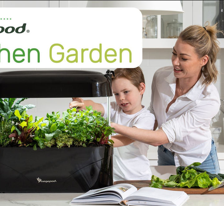 Kitchen Garden Has Arrived!