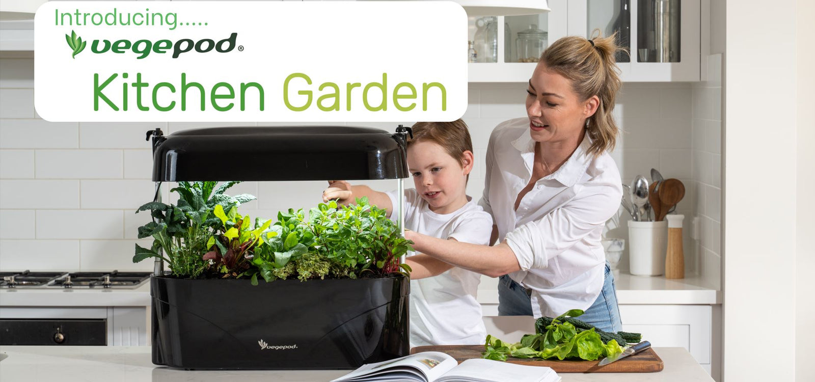 Kitchen Garden Has Arrived!