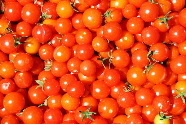 How To Grow Tomatoes in a Raised Garden Bed