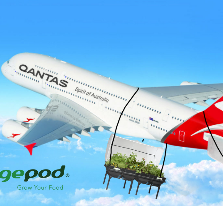 Vegepod is Now Available on Qantas Frequent Flyer!