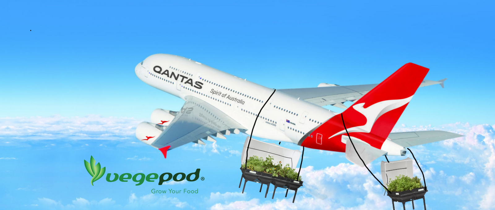 Vegepod is Now Available on Qantas Frequent Flyer!
