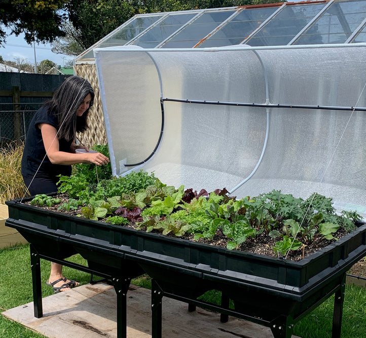Pod-to-Plate: Michelle Yandle's Super Green Kale Smoothie